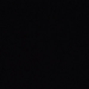 Meet your Posher, Bri